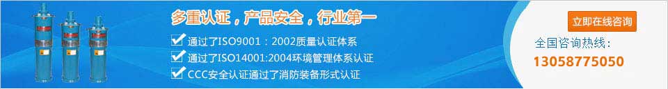 上海潜水泵18年水泵设备检修经验的专业技术服务人员_竭诚为您服务
